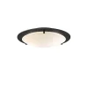 Plafonder-Belid Cirklo plafond Ø40 cm, Svart