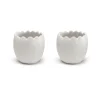 Äggkoppar-Cooee Design Cooee äggkopp 2-pack, White