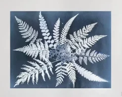 Fern star poster, 40x50 cm^Fine Little Day Discount