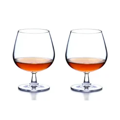 Grand Cru konjaksglas 2-pack, klar 2-pack^Rosendahl Hot