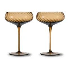 Champagneglas-Byon Opacity champagnekupa 30 cl 2-pack, Brun
